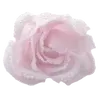 ๐น