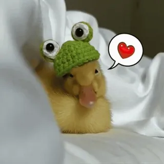 ❤️ утка, милый, животное, малыш, смешной, лягушачья шапка, сердце telegram sticker