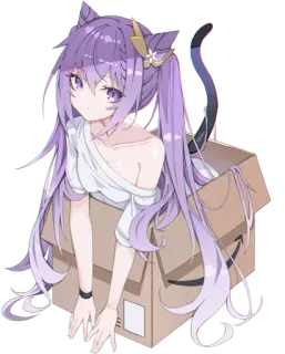 💜 Anime, Katzenmädchen, Kiste, Süß, Mädchen whatsapp sticker