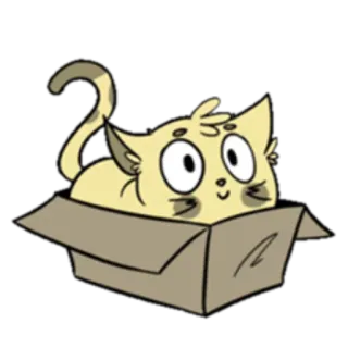 📦 cat, kitten, box, animal, cute, cartoon telegram sticker
