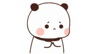 🍩 panda, bear, cute, sad, begging, pleading telegram sticker