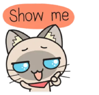 👍 Show me gato, desenho animado, fofo, animal, pedido whatsapp sticker