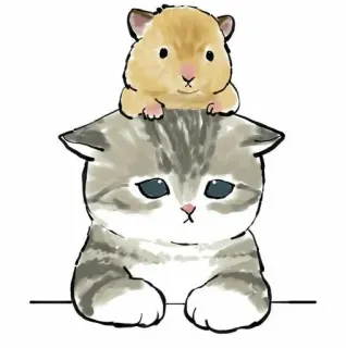 🥱 kot, chomik, słodki, zwierzęta, zwierzak, przyjaźń, kreskówka telegram sticker