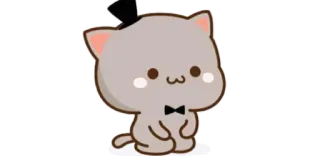 🧸 cat, sticker, cute, animal, cartoon, kawaii telegram sticker