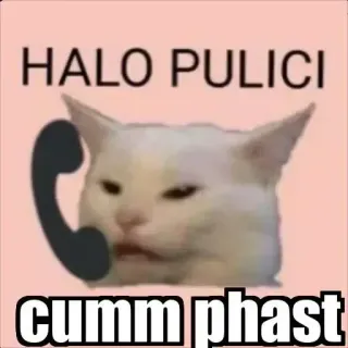 😂 HALO PULICI
cumm phast kot, mem, telefon, obraźliwe telegram sticker