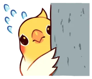 😅 oiseau, mignon, poussin, kawaii, animal, regard, timide whatsapp sticker