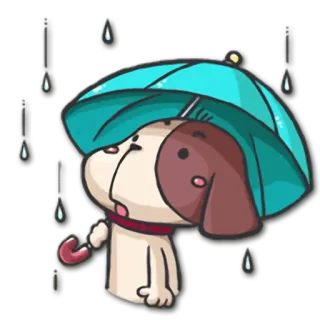 ☔ pies, parasol, deszcz, kreskówka, słodki, pogoda telegram sticker