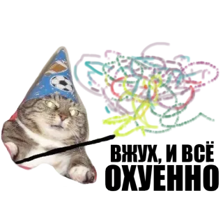 ✨ kat, tovenaar, magie, huisdier, dier, grappig telegram sticker