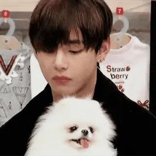 🐶 Strawberry persona, cane, animale domestico, fragola, abbigliamento telegram sticker