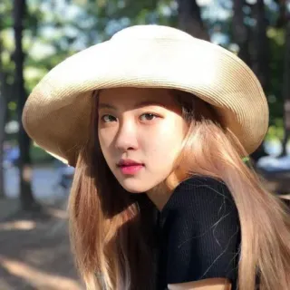 🌸 Rose kpop, cantante, cappello, rosa, blackpink whatsapp sticker