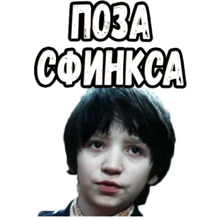 🤓 ПОЗА СФИНКСА telegram sticker