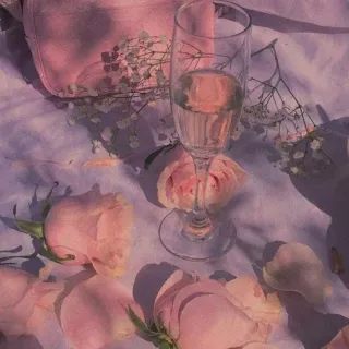 ✨ Rose, Wein, Blume, Glas, Rosa, Blumenmuster, Blütenblatt, Getränk telegram sticker