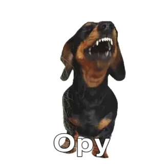 🤣 Opy dog, dachshund, animal, pet whatsapp sticker
