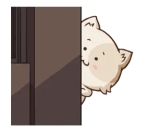 😸 kot, podglądanie, słodki, zwierzę, chowanie się telegram sticker