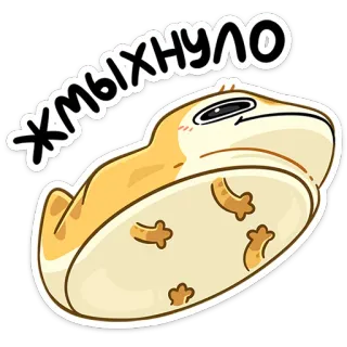 😐 ЖМЫХНУЛО animale, rana, meme, umorismo, russo whatsapp sticker