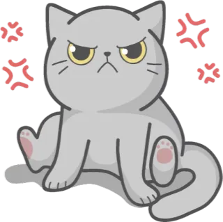 😠 Katze, wütend, Sticker, Cartoon, Haustier, graue Katze telegram sticker