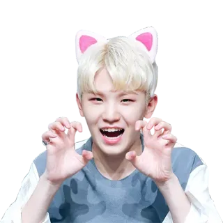 🤗 orang, kpop, telinga kucing, tersenyum, lucu, bahagia telegram sticker