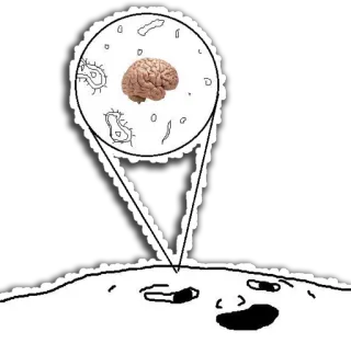 🤤 cerveau, mème, réflexion, intelligence telegram sticker