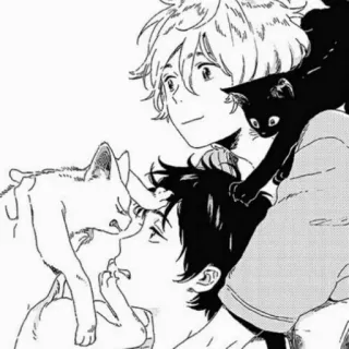 🖤 Anime, Gatti, Ragazzo, Gatto nero, Gatto bianco, Amicizia, Manga telegram sticker