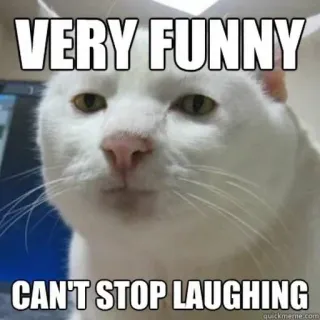 🐈 VERY FUNNY
CAN'T STOP LAUGHING chat, mème, drôle, humour, rire, sarcasme whatsapp sticker