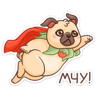 🏃‍♂️ МЧУ! 개, 퍼그, 나는, 망토, 딸기 telegram sticker