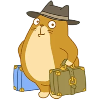 👜 gatto, viaggio, cartoni animati, valigia, cappello telegram sticker