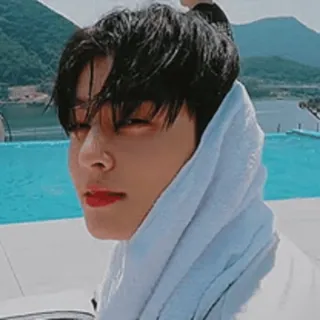 ❤️ Cha Eun-woo ASTRO telegram sticker