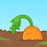 👋 Karotte, Gemüse, Garten, Essen, Pflanze, Boden telegram sticker
