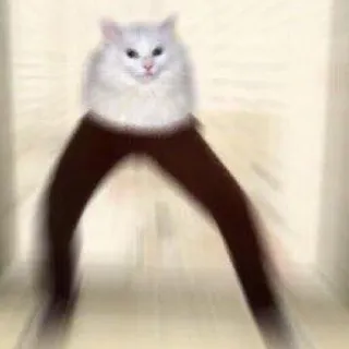 👣 Katze, Beine, lustig, Meme, Tier telegram sticker