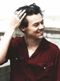 💶 Harry Styles chanteur, célébrité, pop star, acteur, musicien telegram sticker