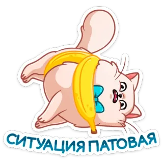 😕 СИТУАЦИЯ ПАТОВАЯ кот, банан, смешной, ситуация, тупик, стикер telegram sticker