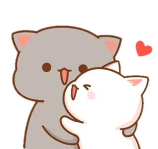 ✨ mèo, ôm, yêu, dễ thương, động vật, hoạt hình telegram sticker