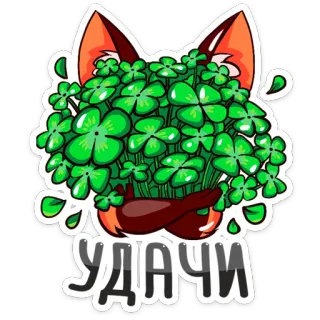 🍀 УДАЧИ клевер, удача, русский, растение, листья, лиса whatsapp sticker