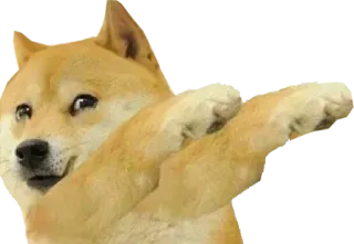 😁 Doge Pies, Mem, Dab, Zwierzę, Śmieszne, Mem Internetowy, Mem Doge telegram sticker
