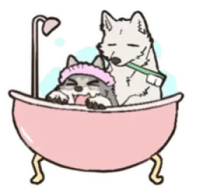 🛁 anjing, bak mandi, sikat gigi, perawatan, hewan peliharaan, hewan telegram sticker