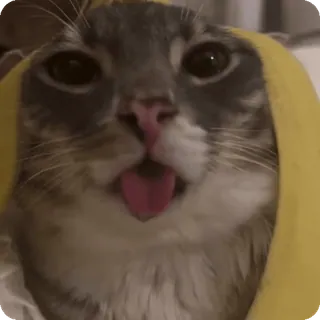 🍌 telegram sticker