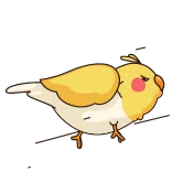 🏃 새, 귀여운, 동물, 왕관앵무, 노란색, 만화 telegram sticker