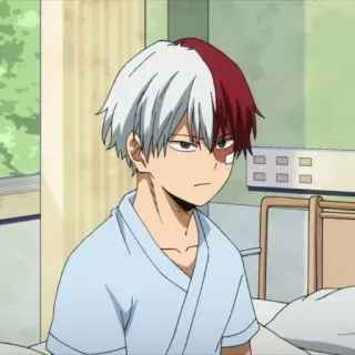 😐 Shoto Todoroki My Hero Academia Anime, Manga, Superheld, Charakter, Macke, halb-kalt halb-heiß, Krankenhaus whatsapp sticker