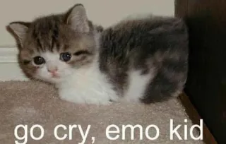 🌟 go cry, emo kid แมว, อีโม, เศร้า, ลูกแมว, ร้องไห้ whatsapp sticker