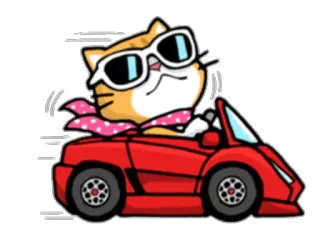 🚗 Katze, Autofahren, Auto, Sonnenbrille, Cartoon, Tier telegram sticker