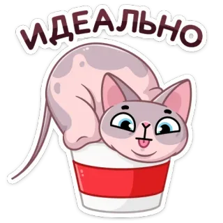 👌 ИДЕАЛЬНО gatto, tazza, cartone animato, perfetto, carino, sphynx telegram sticker