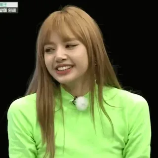 🌿 Lisa mulher, celebridade, kpop, lisa, cantora, expressão telegram sticker