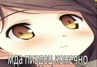 🤦 мда пиздец конечно anime, girl, russian, text, meme whatsapp sticker