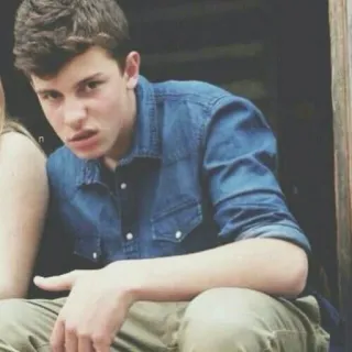 😒 Shawn Mendes singer, celebrity, music, portrait, male telegram sticker