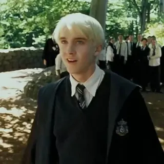 🐍 Draco Malfoy Harry Potter Draco Malfoy, Harry Potter, Slytherin, mago, magia, escuela, Tom Felton whatsapp sticker