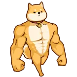 💪 chien, shiba inu, musclé, costaud, dessin animé, animal telegram sticker