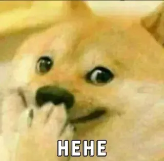 😏 Doge HEHE doge, shiba inu, hehe, meme, laughing, funny, dog telegram sticker