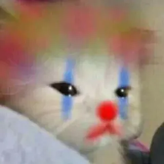 😢 Katze, Clown, traurig, Tier, Haustier, Make-up, Tränen telegram sticker