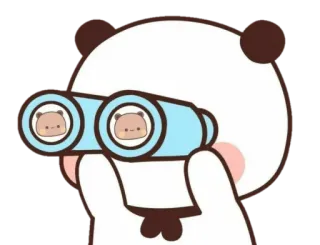 🐻 Panda, Fernglas, süß, schauen, beobachten, Tier, Cartoon telegram sticker