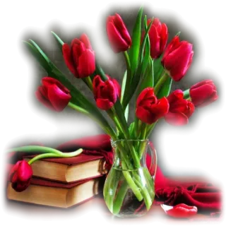 🌹 ทิวลิป, ดอกไม้, หนังสือ, ภาพนิ่ง, สีแดง, แจกัน telegram sticker